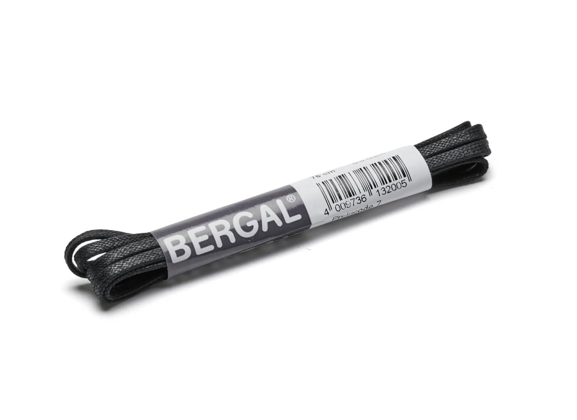 Bergal skolisser