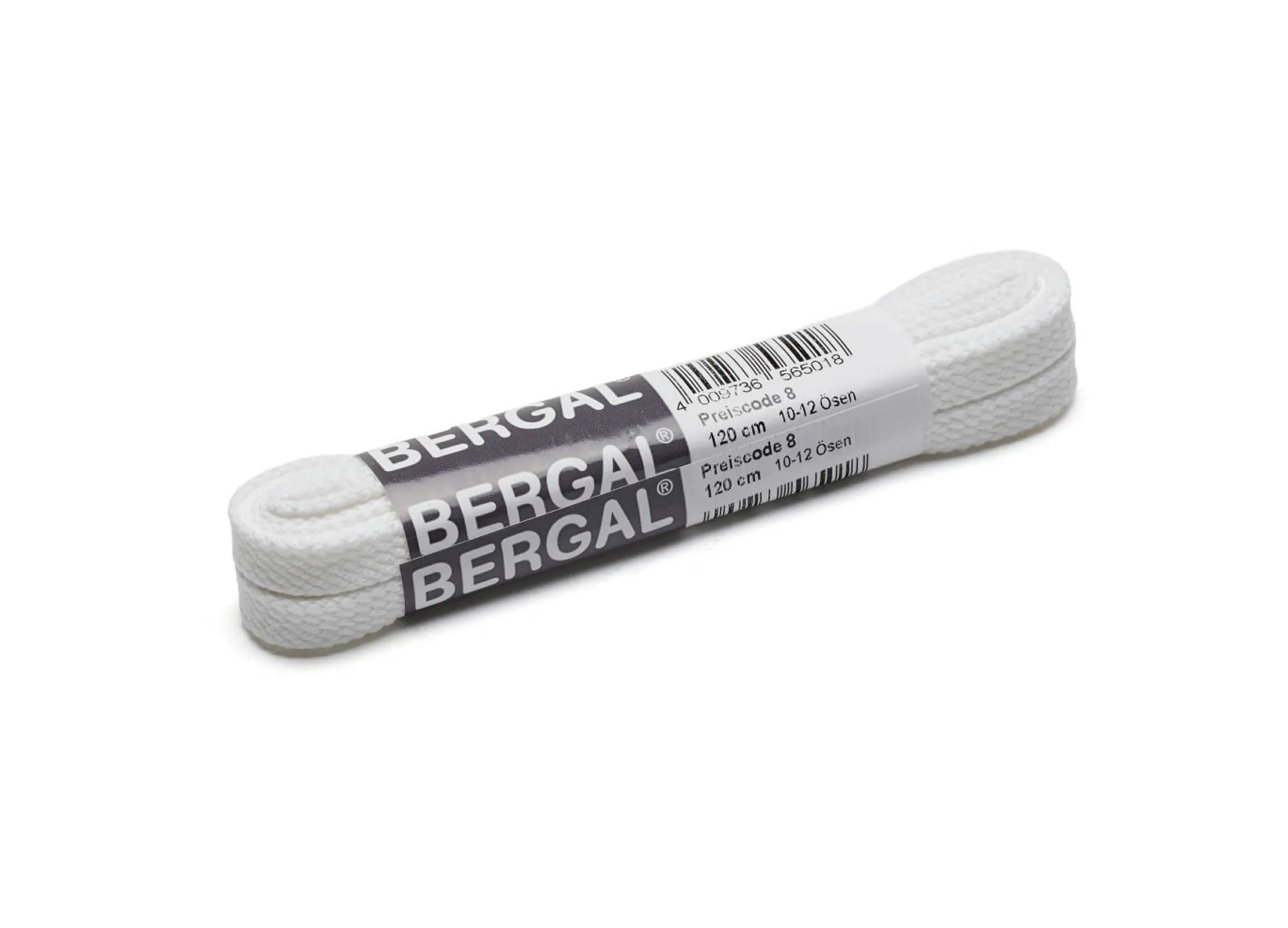 Bergal skolisser