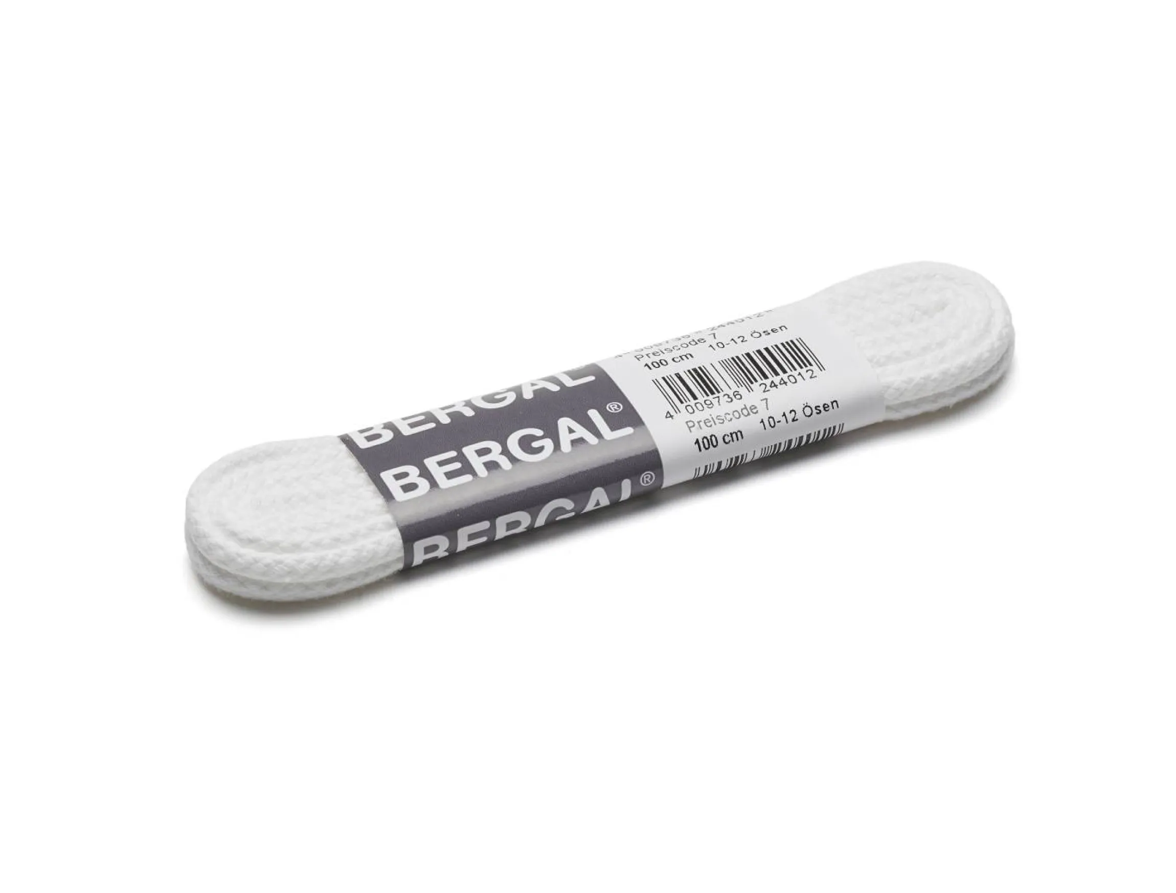 Bergal skolisser