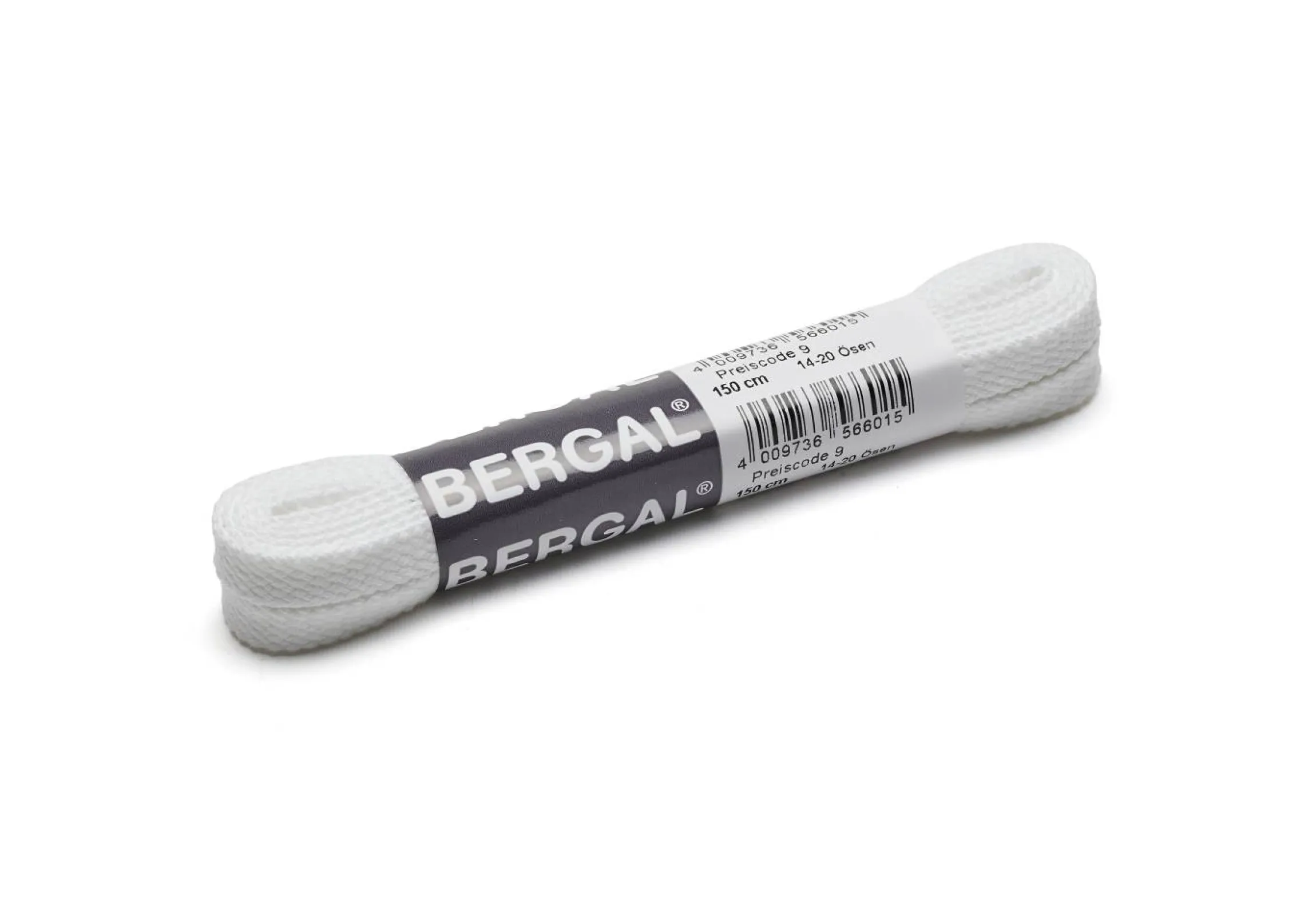 Bergal skolisser