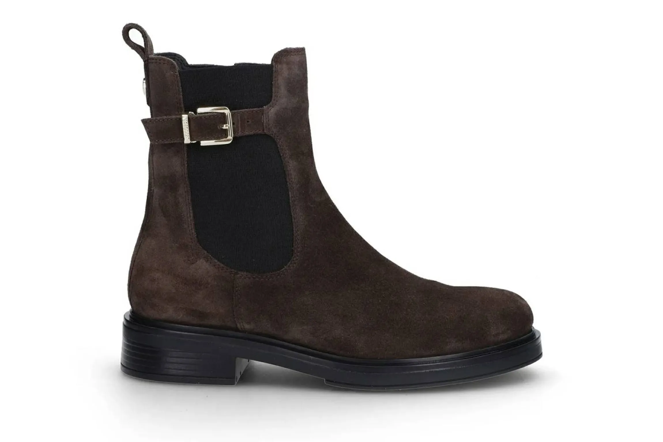 Elegant skolett
